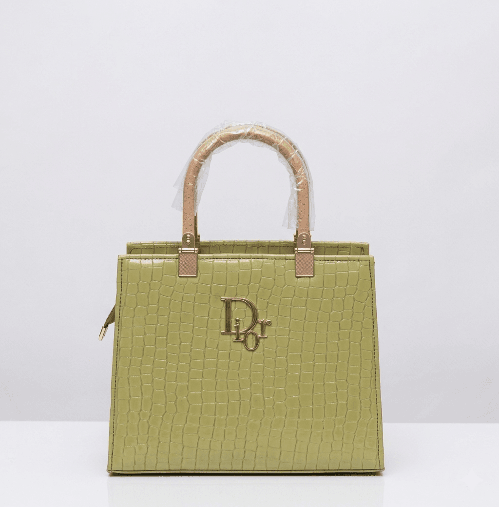 ACRYLIC DIOR handbag