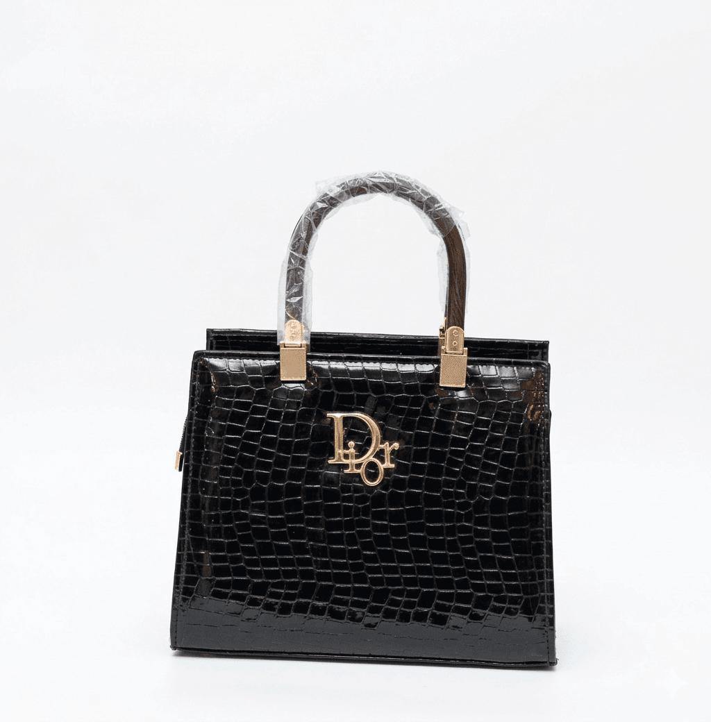 ACRYLIC DIOR handbag