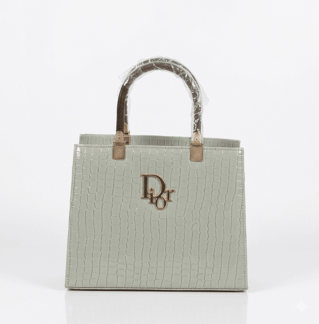 ACRYLIC DIOR handbag